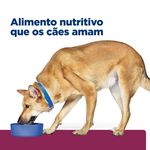 Foto-do-produto-Racao-Hill-s-Prescription-Diet-I-D-Caes-Gastro-Intestinal-798kg-no-pet-shop-online-da-Tudo-de-Bicho