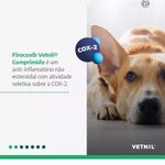 Foto-do-produto-Anti-Inflamatorio-Firocoxib-Vetnil-com-7-Comprimidos-para-Caes-150mg-no-pet-shop-online-da-Tudo-de-Bicho