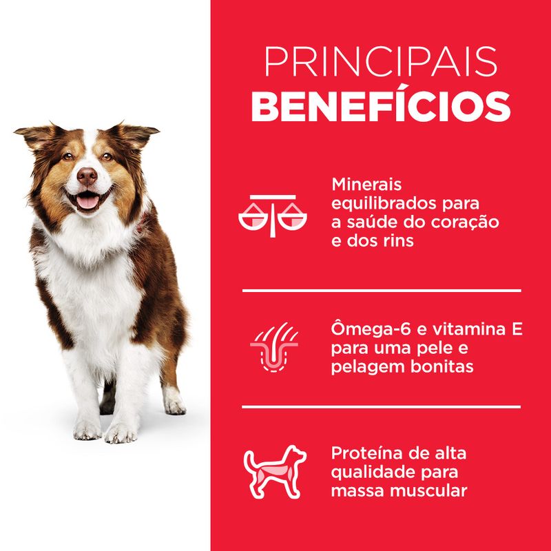 Foto-do-produto-Racao-Hill-s-Science-Diet-Caes-Adultos-7--68kg-no-pet-shop-online-da-Tudo-de-Bicho
