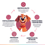 Foto-do-produto-Suplemento-Alimentar-Para-Caes-Buddy-Nutrition-Dentes-E-Halito-no-pet-shop-online-da-Tudo-de-Bicho
