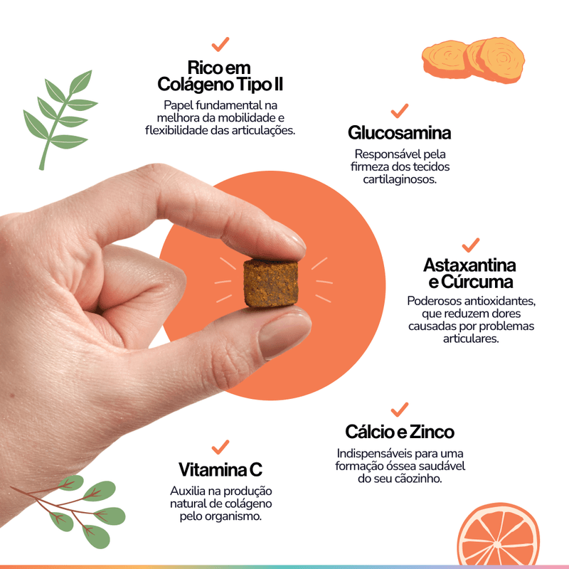 Foto-do-produto-Suplemento-Alimentar-Para-Caes-Buddy-Nutrition-Ossos-E-Articulacoes-no-pet-shop-online-da-Tudo-de-Bicho