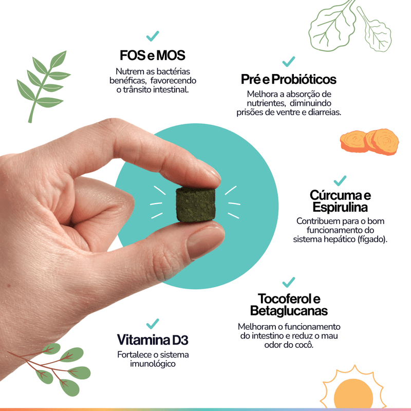 Foto-do-produto-Suplemento-Alimentar-Para-Caes-Buddy-Nutrition-Digestao-E-Flora-Intestinal-no-pet-shop-online-da-Tudo-de-Bicho
