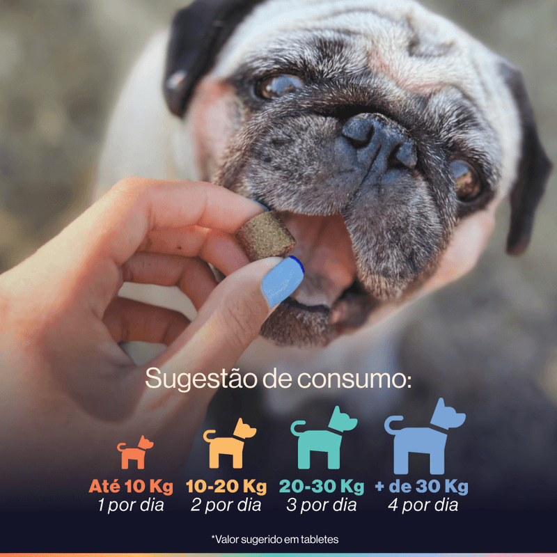 Foto-do-produto-Suplemento-Alimentar-Para-Caes-Buddy-Nutrition-Digestao-E-Flora-Intestinal-no-pet-shop-online-da-Tudo-de-Bicho