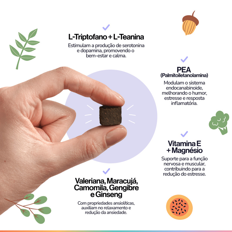 Foto-do-produto-Suplemento-Alimentar-Para-Caes-Buddy-Nutrition-Tranquilo-E-Calmo-no-pet-shop-online-da-Tudo-de-Bicho