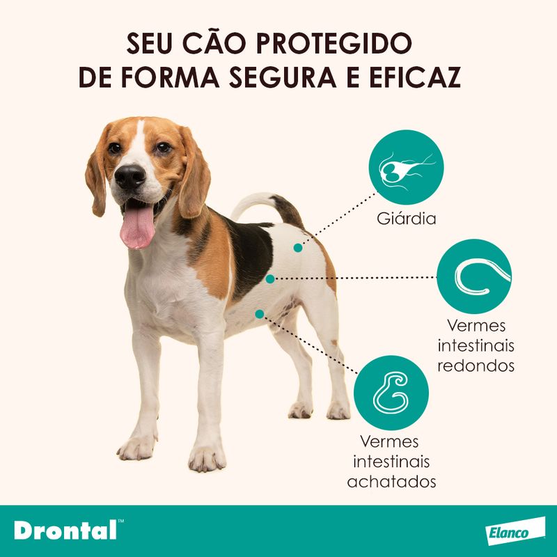 Assets_DrontalPlus-Sabor_10kg_02_102479
