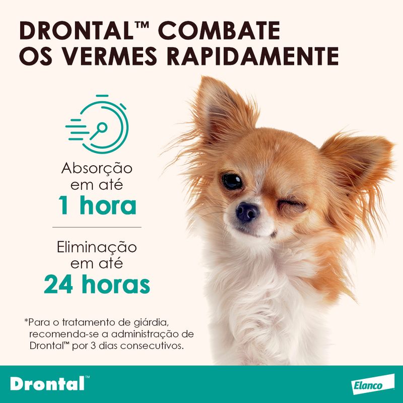 Assets_DrontalPlus-Sabor_10kg_06_102479