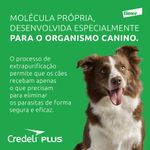 Assets_CredeliPlus_03_125886