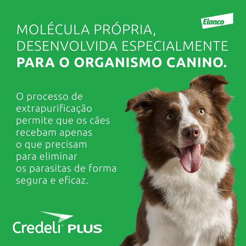 Assets_CredeliPlus_03_125886