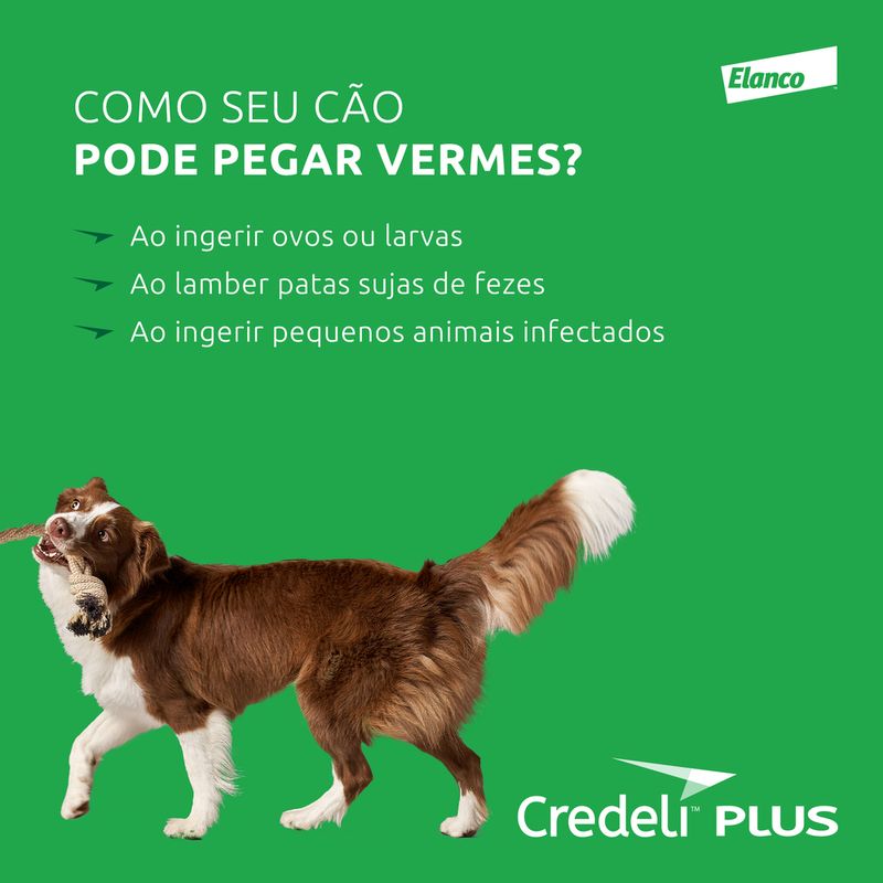 Assets_CredeliPlus_09_125886