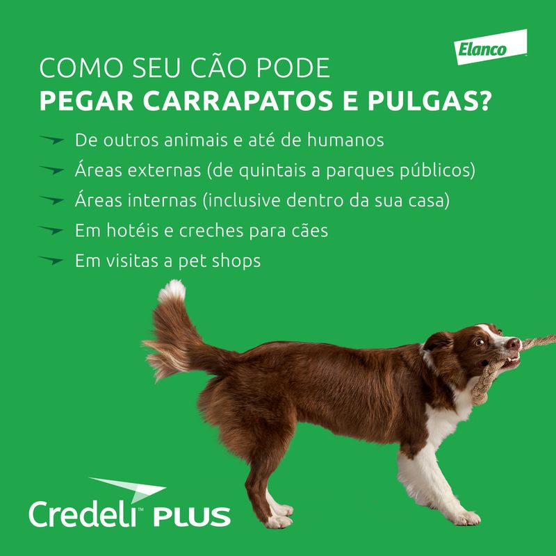 Assets_CredeliPlus_08_125887