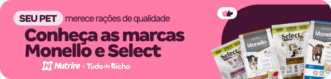 Conheça as mrcas Monello e Select